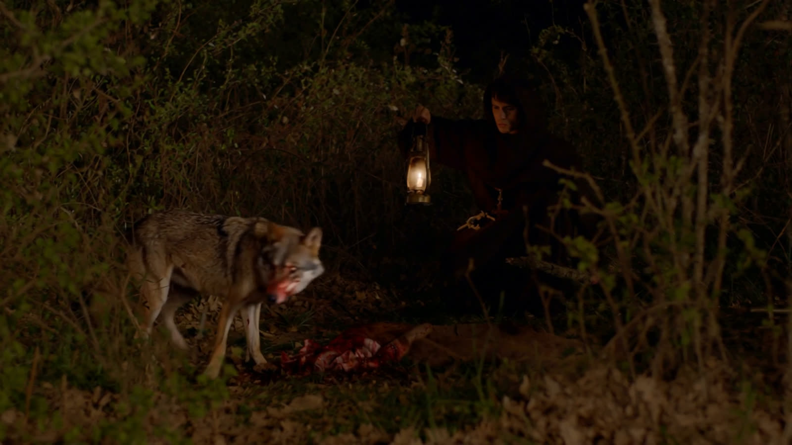 El lobo de noche junto a un cazador con farol al fondo