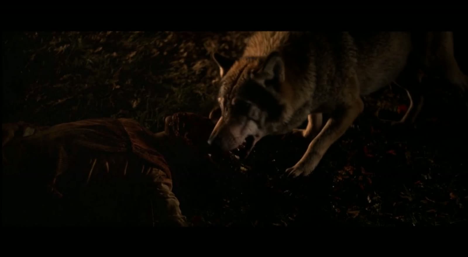 Primer plano del lobo de perfil